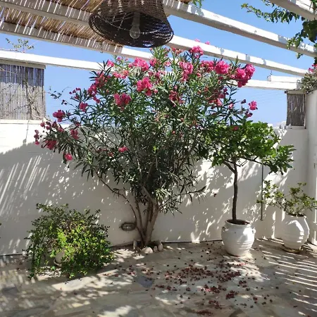 Lydia's Charming House In Νάουσα